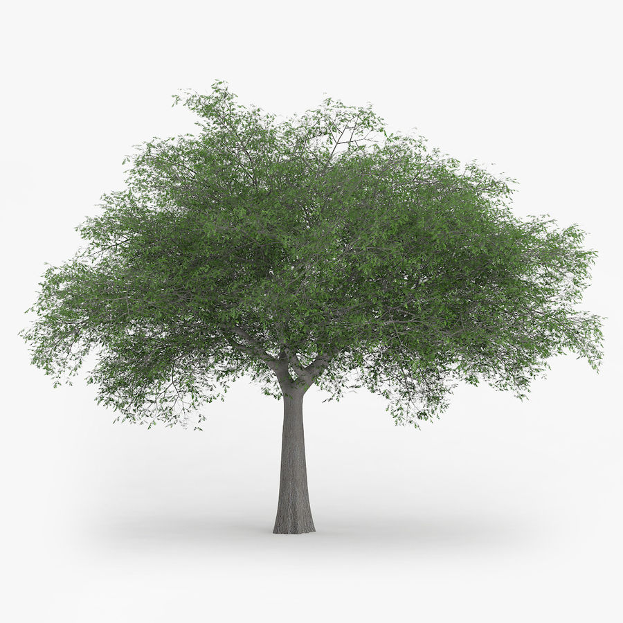 Vrmesh trees free download